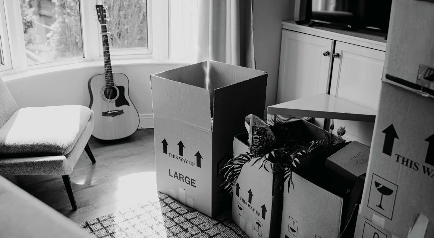 Moving boxes 